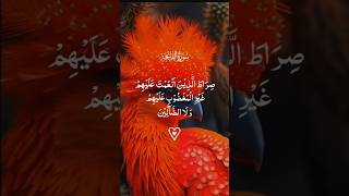 Sureh Al Fatiha recite by shiek Mishary Alafasy ytviral shorts [upl. by Nnyltak990]