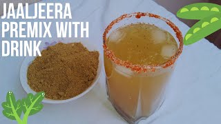 Jaljeera Premix  Jaljeera Powder Recipe in Hindi  Jeera Soda  Refreshing Digestive Drink [upl. by Amis]