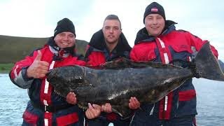 Vissen in Noorwegen Nappstraumen Lofoten [upl. by Barling]