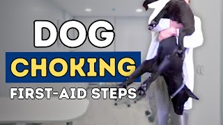 Dog Choking First Aid Steps [upl. by Zobkiw]