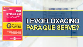 LEVOFLOXACINO Para que serve e Dúvidas Respondidas  Bula Simples [upl. by Cressi]