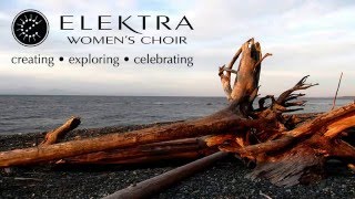 Log Drivers Waltz performed by Elektra Womens Choir [upl. by Evilo]