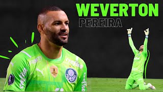 Weverton Pereira  Amazing Saves 2021  HD⭐⭐🏆🟢⚪🇧🇷 [upl. by Vittoria]