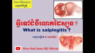 អ្វីទៅជំងឺរលាកដៃស្បូនWhat is salpingitis l Khor Hok Sunn MD Official [upl. by Rauch406]