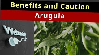 Careful about this when taking Arugula  Top 10 Health Benefits of Arugula  Arugula Salad [upl. by Lellih]