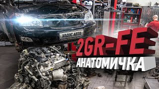 Toyota не ломается говорили они Анатомичка 2GRFE Lexus RX350 [upl. by Nylatsyrc]