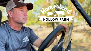 Homestead Hollow Farm [upl. by Fronniah458]