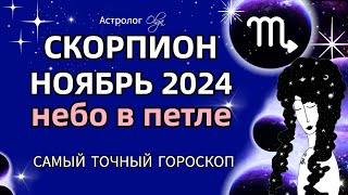 ♏СКОРПИОН  💫НОЯБРЬ 2024 ГОРОСКОП Астролог Olga olgaastrology ноябрь петлямарса [upl. by Tezzil]