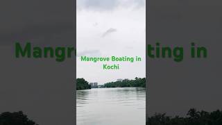 Kochi Mangrove Boating in Kochi Kerala kochi mangrove kerala Mangroveboatingboating shorts [upl. by Holt]