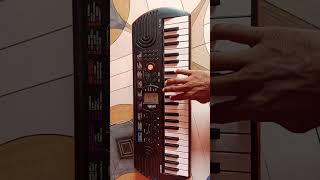 Mi Nidala Jayra vikkideshmukh ravishinde casio21 piano presentpanditbagul casio music [upl. by Aihsatan]