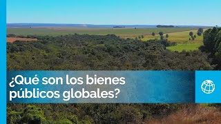 Abordando desafíos mundiales transfronterizos ¿Qué son los bienes públicos globales [upl. by Helaine]