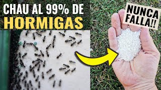 🐜 Les comparto la Solución para ACABAR con las HORMIGAS  EFECTIVO 100 🏡🌱 Huerto Casa o Jardín 🌻 [upl. by Aisnetroh]