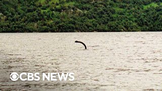 Inside the search for the mythical Loch Ness Monster [upl. by Ellicec942]