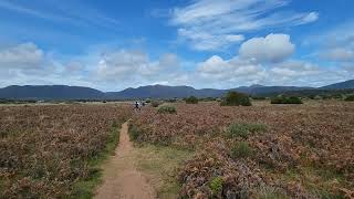 Bush walk in Wilsons Promontory goplaces1 [upl. by Ahael266]