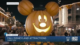 2024 Fall Disneyland Attractions [upl. by Kiraa]