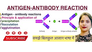 AntigenAntibody reaction in Hindi￼  Agglutination  Precipitation  Flocculation  Mycology  MLT [upl. by Kosaka]