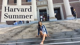 HOW TO GET INTO HARVARD PRECOLLEGE PROGRAM [upl. by Eltsirk]