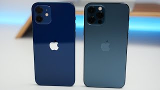 iPhone 12 vs iPhone 12 Pro  Which Should You Choose [upl. by Ainitsirc]