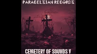 Cemetery of Sounds 5th Edition  Various Artists  Multi Genre  Paracelsian Records [upl. by Watts]