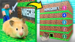 Hamsters in a 5  Level Minecraft Maze [upl. by Icak766]