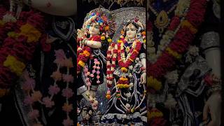 Shri Krishna Bhakti Songs l Suno Krishna Pyaare l Swati Mishra Song l Shri Krishna Bhajan l shorts [upl. by Efthim]