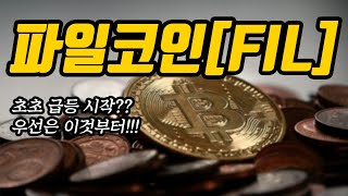 파일코인FIL초초 급등 시작우선은 이것부터 [upl. by Aniehs]