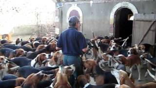 Preparing to Feed the Hounds of Château de Cheverny [upl. by Hesper]