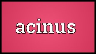 Acinus Meaning [upl. by Steinke]