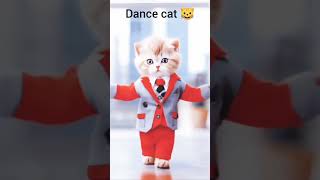 Akti biraler dance videocat dance 😻😹😸cat viralvideo catlover dance youtubeshorts youtube [upl. by Aduhey]