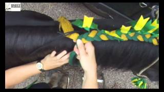 Heavy Horse Decorations braiding a Shire Horse mane with Mandy Ward [upl. by Aenehs]