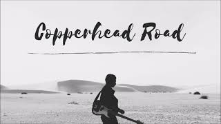 Copperhead Road  Steve Earle Cover [upl. by Aprilette]