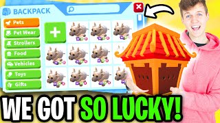 LANKYBOX HATCHING 100 OX BOXES In ADOPT ME NEW ADOPT ME LUNAR NEW YEAR 2021 EXPENSIVE CHALLENGE [upl. by Caswell]