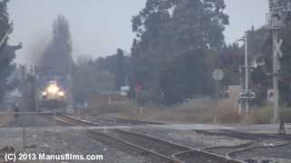 Amtrak Coast Starlight 11 Through Newark [upl. by Linzy]