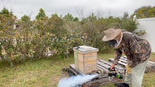 Varroa Mite Treatment with Mineral Oil [upl. by Sender617]