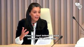 Intervention au Conseil Régional dÎledeFrance sur la question du SDRIFE [upl. by Parrott658]