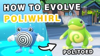 How to Evolve Poliwhirl into Politoed ► Pokemon Scarlet amp Violet [upl. by Eelyah618]