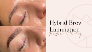 Hybrid Brow Lamination  Step By Step  Tutorial  Perfect Eyelash Hybrid Brow amp Lash Tint [upl. by Eelymmij]