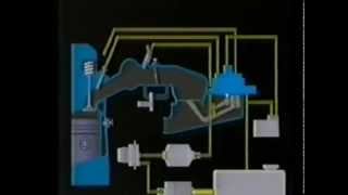 Bosch KJetronic CIS explained [upl. by Hulbard]