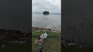 Tarbela dam 2024  Fishing  shikar shikar fishing fish [upl. by Xam]