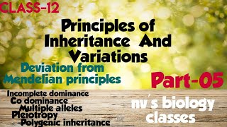 Principles of inheritance and variation part05 class 12 in malayalamnon mendelian inheritance [upl. by Hauger]