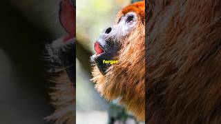 Howler Monkeys Natures Loudest Singers wildlife nature animals facts [upl. by Imarej]