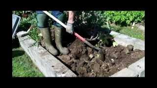 Trench composting in raised bed [upl. by Llewej]