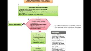 The Biggest Mistake About Bradycardia [upl. by Lleroj919]