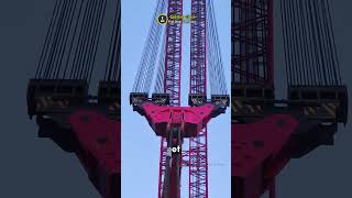 Une Grue de 90 000 TonnesMètres 😮shorts [upl. by Scrogan]