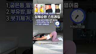 폼롤러 루틴 필요하신 분들 꼭 댓글남겨주세요❤️ 흥둥이홈트 흥둥이 홈트 스트레칭 다이어트댄스 [upl. by Lorianne]