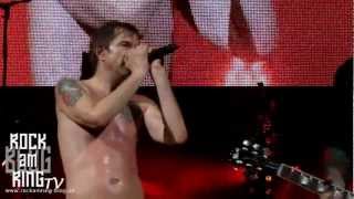 Die Toten Hosen  Tage wie diese live  Lanxess Arena Köln 17112012 rockamringblogde [upl. by Pedrick]