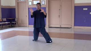 Traditional Yang Style 108 form Tai Chi Chuan 太极拳 [upl. by Ased]