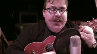 The Impression That I Get  ukulele Mighty Mighty Bosstones cover [upl. by Llyrat]