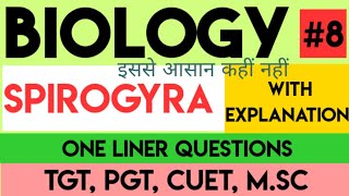 Spirogyra structure general character and reproduction biologyspirogyratgtpgtMSc [upl. by Nodyroc]