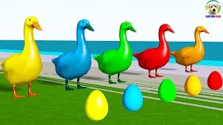 Learn Colors with Duck lay Eggs Colors Cartoon for Kids [upl. by Notsirhc]